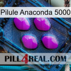 Anaconda 5000 Pill 04